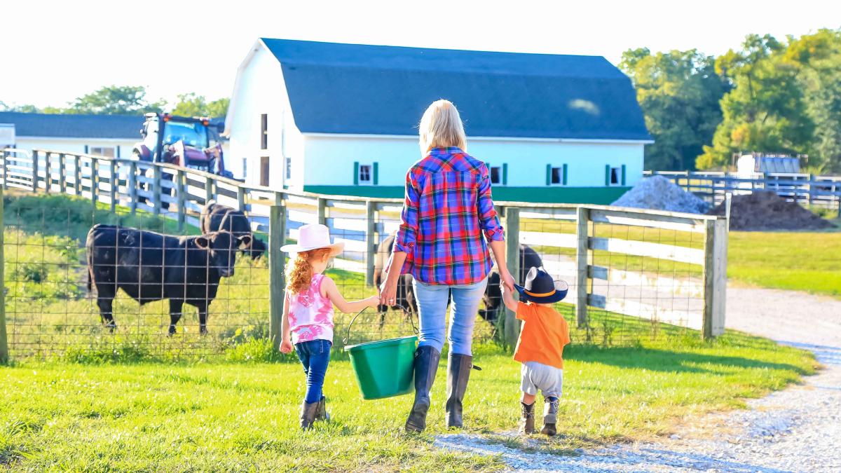 farm