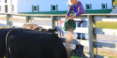 Mary Miller feeding livestock