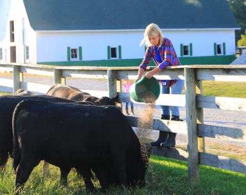 Mary Miller feeding livestock
