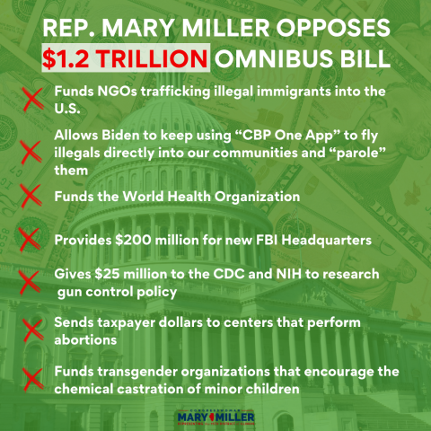Omnibus Bill