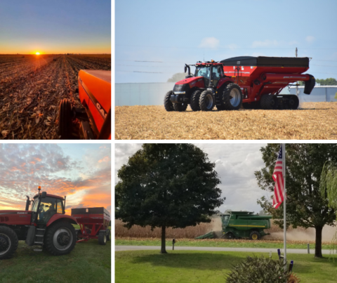 Farmland pictures